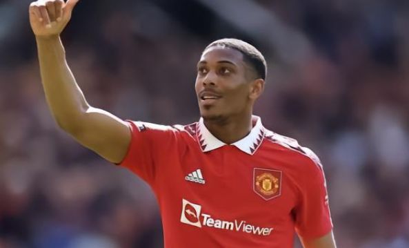 種前所未有 種前所未有